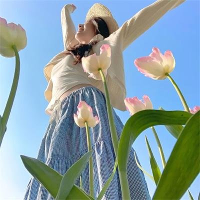 蓝鹭海报